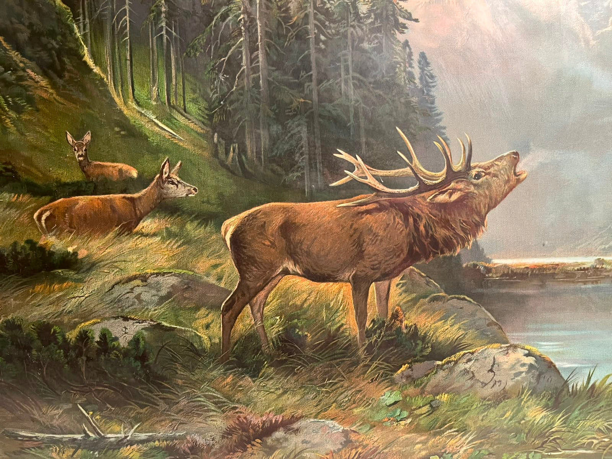 Vintage German Alpine Stag Landscape Signed: M. Müller, München (Munich, Germany)