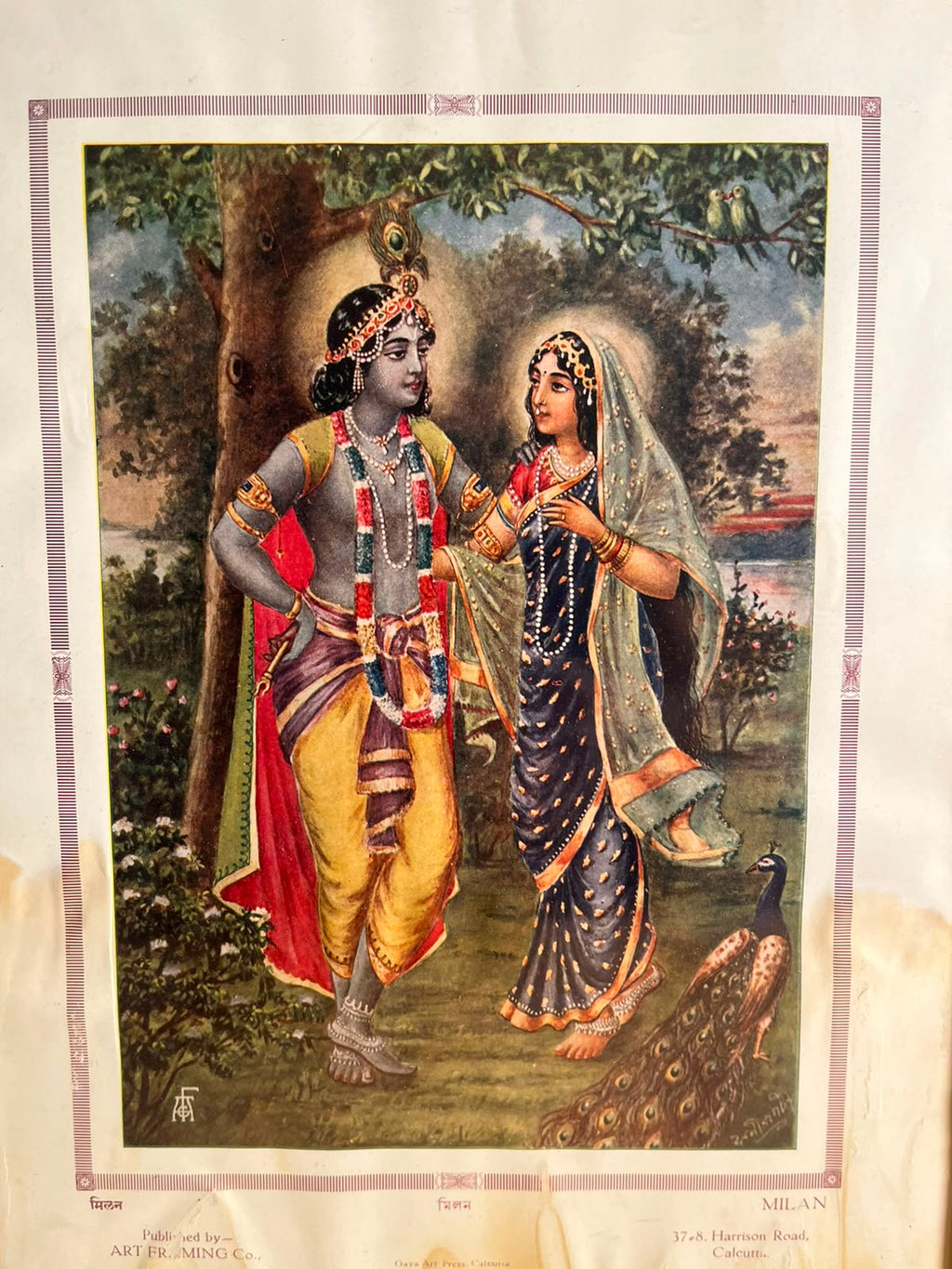 Rare Vintage “Milan” Radha Krishna Colour Print – Art Framing Co., Gaya Art Press, Calcutta | 10 × 14 Inches